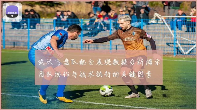武汉飞盘队配合表现数据分析揭示团队协作与战术执行的关键因素